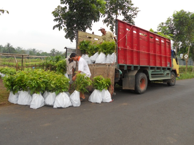 Loading of seeds from the nursery onto the truck then transported to the destination