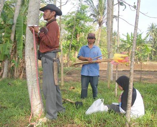 Permanent Test Plot - Calculating Carbon Capture