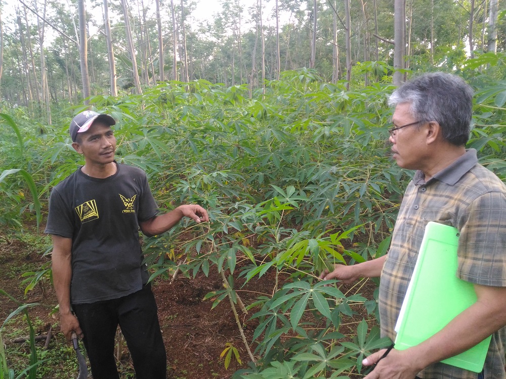 Field Visit with Farmers, ACIAR and T4T