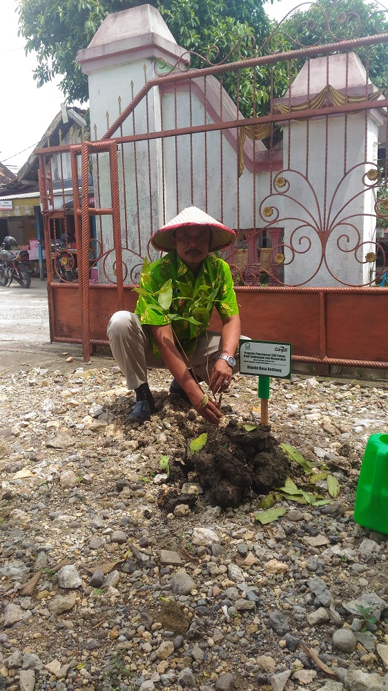 Trees Planting of 500 Jambu Deli Madu