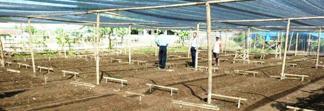 Final preparation of a purpose built, shaded nursery is overseen by Trees4Trees staff prior to seedling production.
