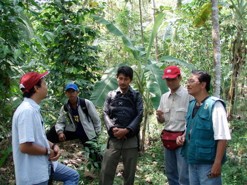 Tree Care Training