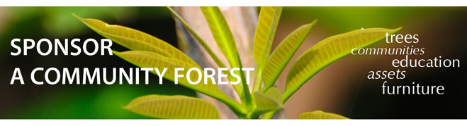 Sponsor a Community Forest