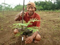 Happy farmer and his tree