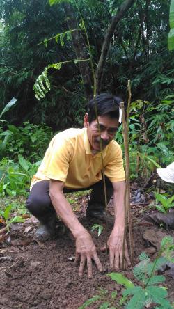 Farmer Planting Trees Trees Planting Season