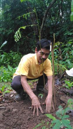 Trees Planting Season