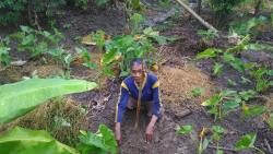 Farmer Planting Trees Trees Planting Season