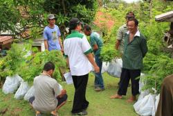Mr. Mahmud, T4T Field Coordinator distributing Albizia seedlings to farmers at Binangun Target Area, Cilacap.